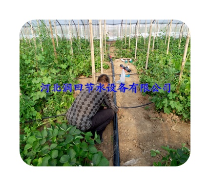 湖北新产品新技术|新滴灌带