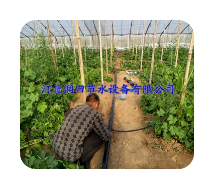 黄石市厂家直销膜下软带|马上咨询