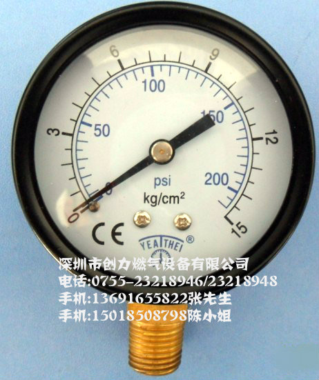 立式压力表15kg/20KG/25KG/30KG气压表