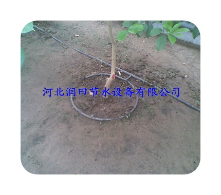 广东深圳市【山地果园果树滴灌】 节水省肥系统