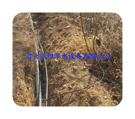 广东省肇庆市果树滴灌|滴管水肥一体化