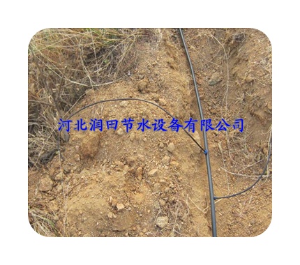 广东省惠州市果树滴灌价格|优质果树滴灌批发|采购