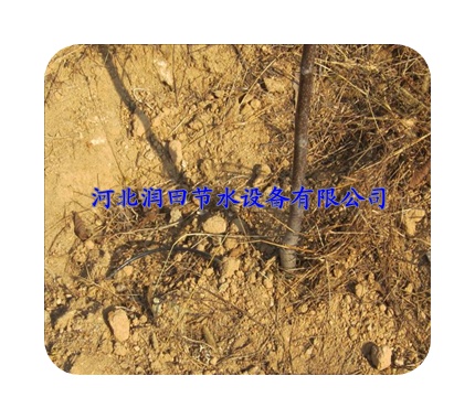 广东揭阳市香蕉果树滴灌管价格 生产厂家 联系方式