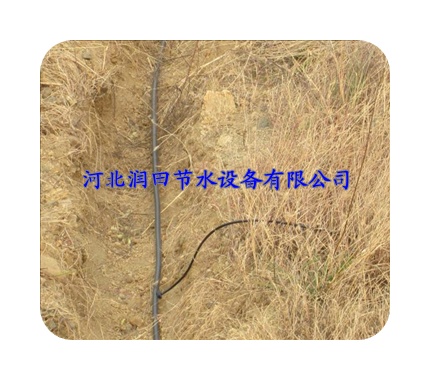 广东清远市【荔枝果树滴灌】果园滴水毛管批发|采购|生产厂家