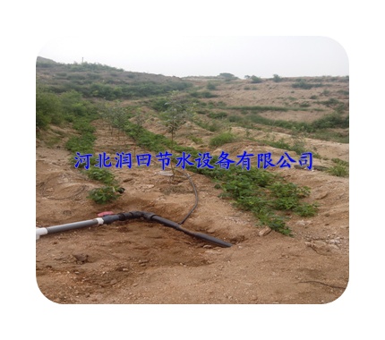 广东乐昌市压力补偿式滴头用途|性能|使用范围|价格