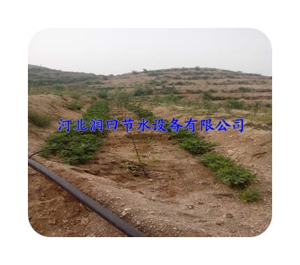 广东从化市果树灌溉节水系统 小管出流