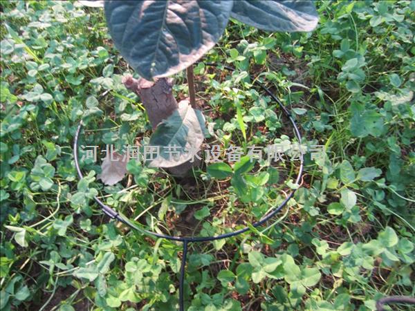 广东南雄市厂家特卖|果树水肥一体化|节水灌溉设备