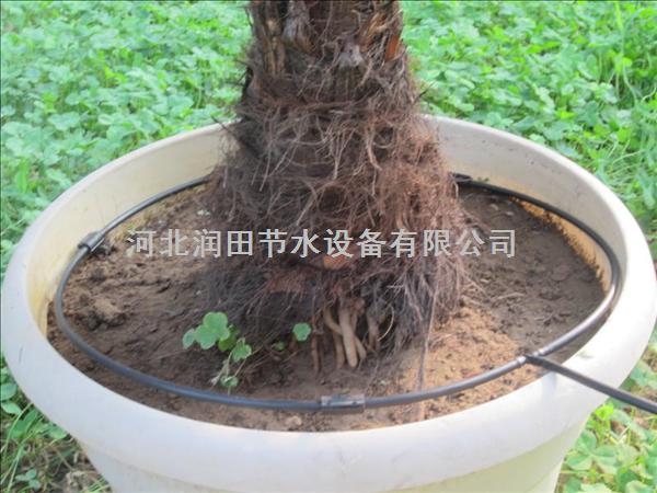 广东罗定市小管出流系统 精品压力补偿式滴头批发|采购