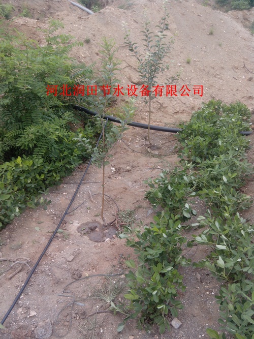 广东佛山市稳流器|供应小管出流PE管