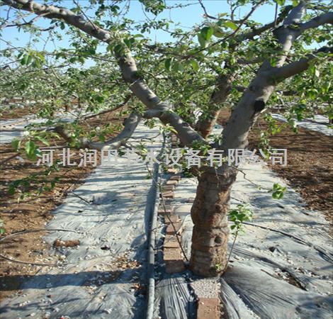 广东省潮州市【山地果树滴灌】小管出流系统组成部分