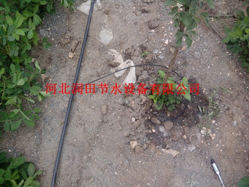 广东深圳市【山地果园果树滴灌】高效节水省肥系统