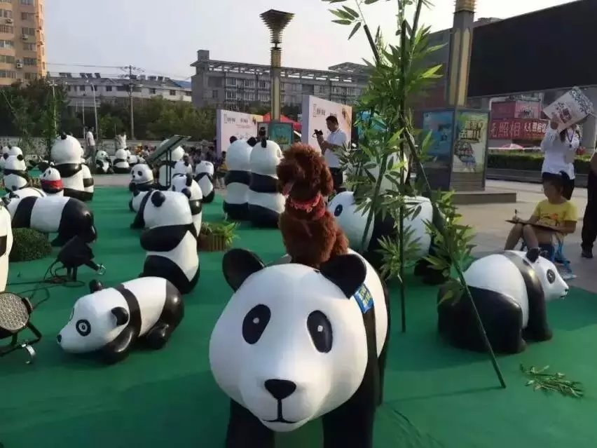 熊猫模型低价出租动漫卡通人物主题展全国租赁