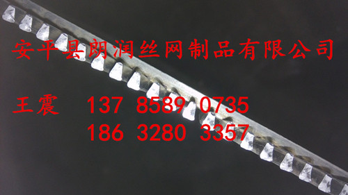楔形条筛网价格
