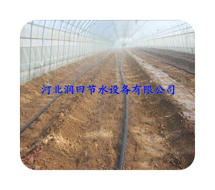 河南安阳【大棚专用喷水带】安装拆卸方法 省劳力