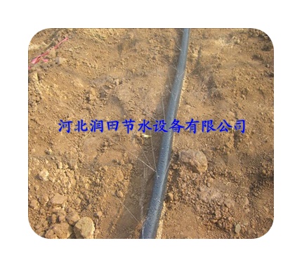 河南焦作蔬菜喷灌专用节水省肥喷灌带 现货供应|可定做