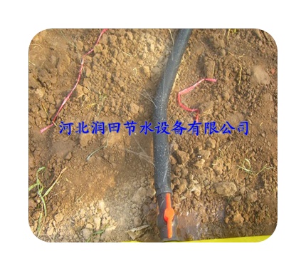 河南新乡果园果树喷水带质优价廉|欲购从速