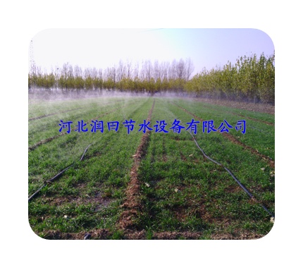 河南洛阳【温室大棚喷灌带】高质量|低成本|厂家直销
