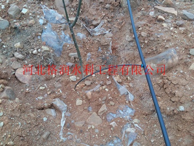 山地果树滴灌|四川绵阳果树水肥一体化