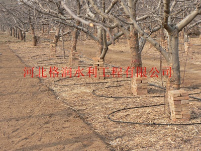 四川果树滴灌-微喷头|微喷带|滴灌管|滴灌带