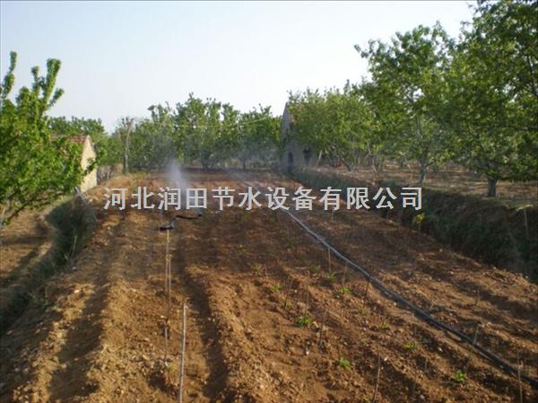 太原市杏花岭区微喷带优惠打折|农业灌溉设备