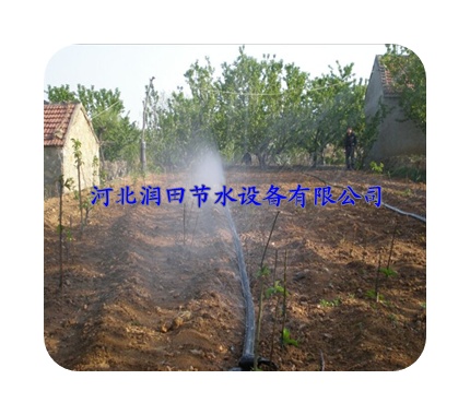 太原市晋源区农田微喷带专用节水设备