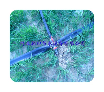 临汾市吉县微喷带等你挑选