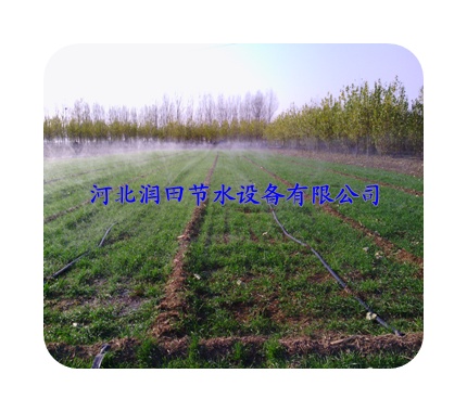 微喷带|喷水带--临汾市古县供应