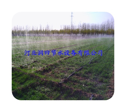 实惠产品|临汾市永和县五孔软管|喷雾带销售不错