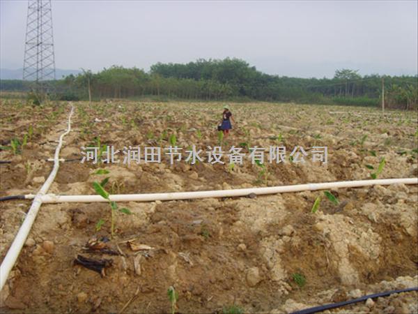 运城市农用灌溉设备|蔬菜微喷带重量轻