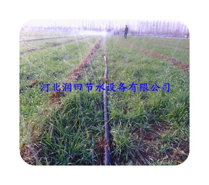 吕梁市交城县微喷带|黑色水带技术不错