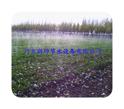 吕梁市方山县微喷灌产品|花卉微喷带