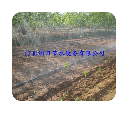 吕梁市价格低廉苗圃育苗微喷带|果园喷水带