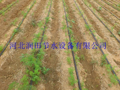 河南大田膜下滴灌带+施肥罐 水肥一体化技术