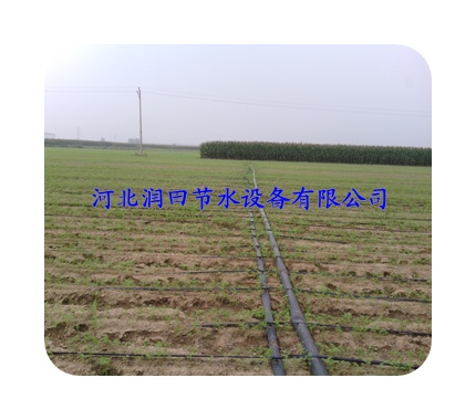 廊坊市固安县农田膜下滴灌专用节水设备