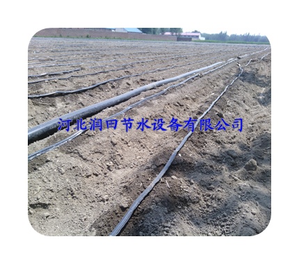 廊坊永清县果园塑料滴水带|滴带设备新价格