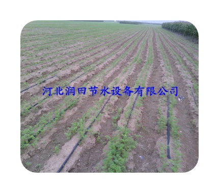 廊坊永清县大田蔬菜专用膜下滴灌节水新工具