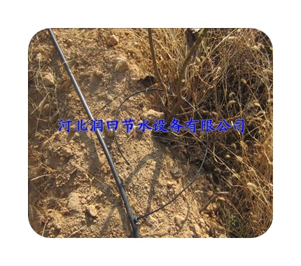 乐山市果树滴灌小管出流特价促销|农业节水设备