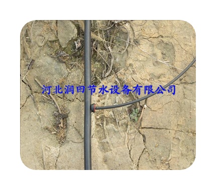 雅安市果园果树滴灌施肥|果树滴灌设备新价格