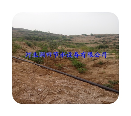 绵阳市高质量小管出流|果树滴灌施肥利薄多销
