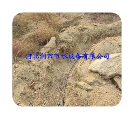 绵阳市农家专用果树滴灌|果树滴灌施肥利薄多销