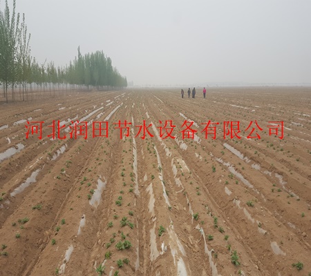 现货供应/鹤壁市浚县膜下滴灌量大从优