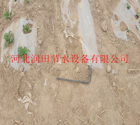 鹤壁市浚县大田作物滴管带型号/原料滴灌管带优惠