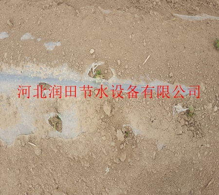 鹤壁市浚县滴灌厂家活动促销膜下滴灌/耐用滴灌管带