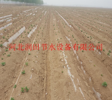 鹤壁市浚县 滴灌设备【耐用滴灌管带】【膜下滴灌】