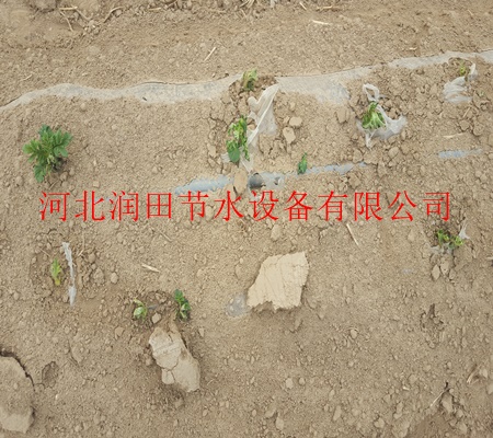 濮阳市华龙区膜下滴灌/扁平滴灌带价格/欢迎咨询