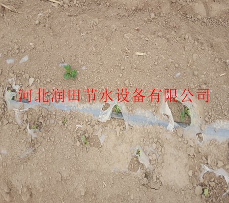 新型扁平滴灌带/抗老化寿命长/濮阳市华龙区供应