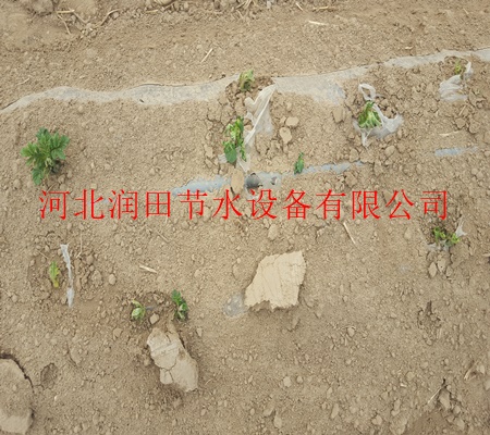 濮阳市华龙区扁平滴灌带供应商新报价/大田作物滴灌设备