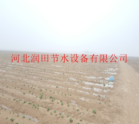 厂家直销/濮阳市南乐县大田滴灌/膜下滴灌图片