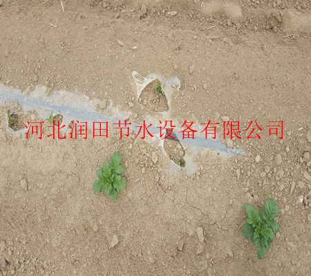 濮阳市南乐县出售大田膜下滴灌/扁平滴灌带价格