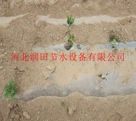 濮阳市南乐县膜下滴灌质量保证/扁平滴灌带